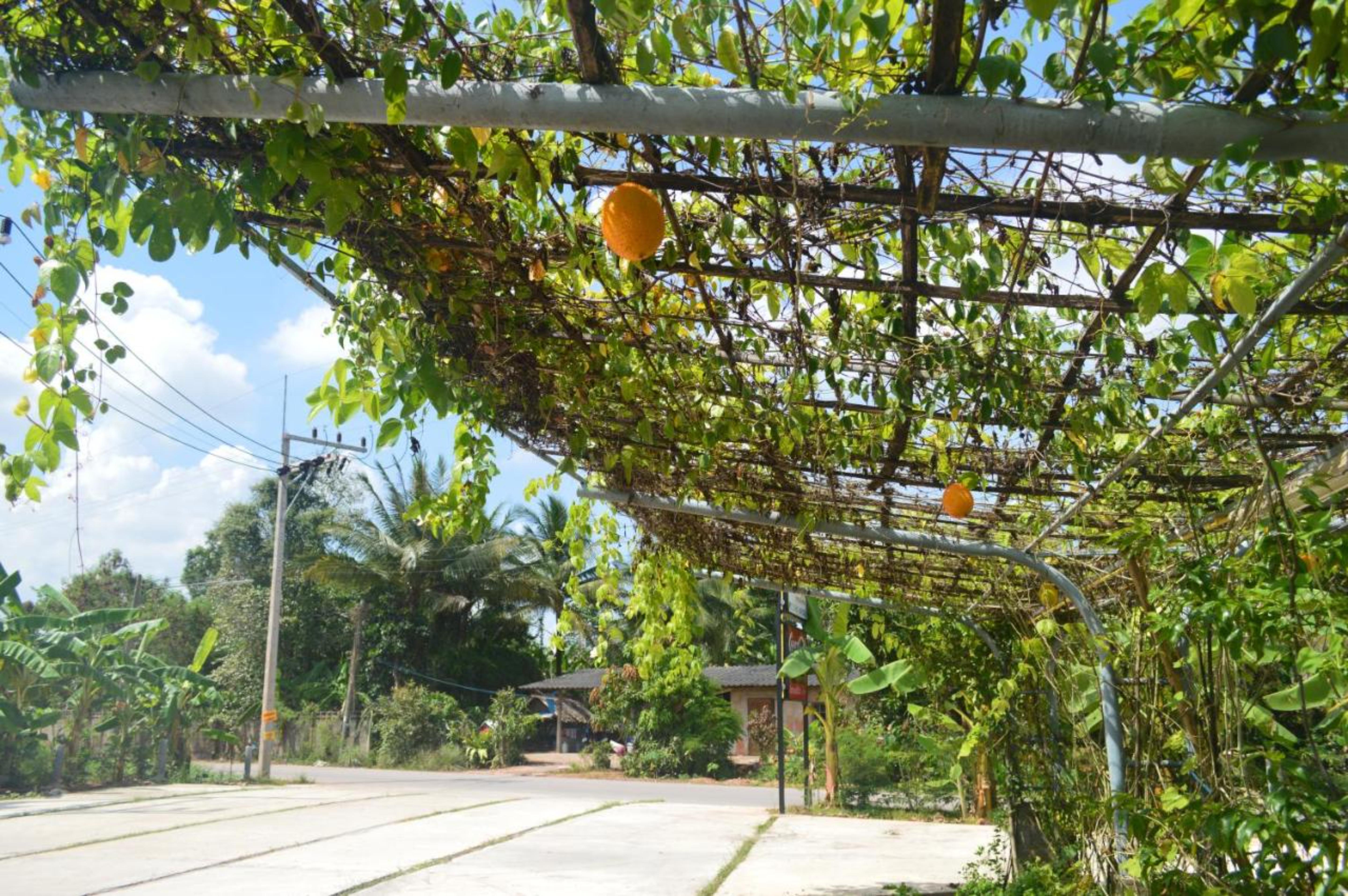 Be Fine Sabuy Hotel And Resort Surat Thani Exterior photo